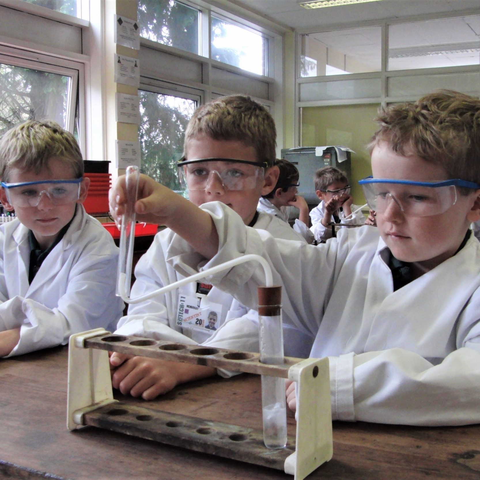 Working in the Lab